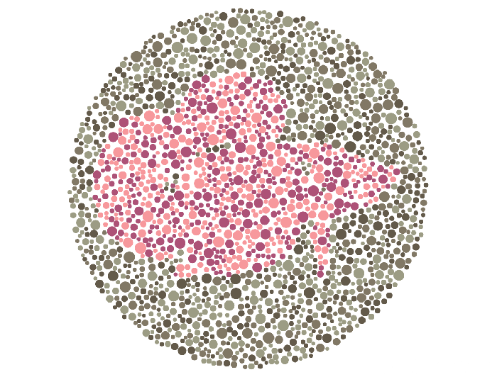 Tes Buta Warna Coba Tebak Siluet Hewan Apa Yang Terlihat Foto 6