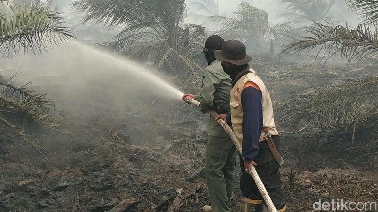 Sudah 1 Minggu, Kebakaran Lahan di Muba Sumsel Belum Padam Sudah 1 Minggu, Kebakaran Lahan di Muba Sumsel Belum Padam