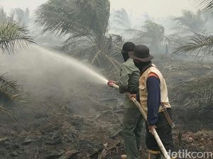 Asap Tebal Selimuti 60 Hektare Lahan Gambut Terbakar di Muba Sumsel