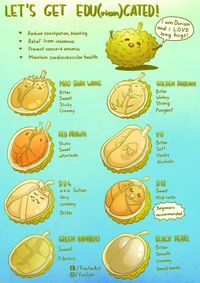 Seniman Ini Buat Infografis Lucu Berisi Jenis dan Rasa Durian Populer
