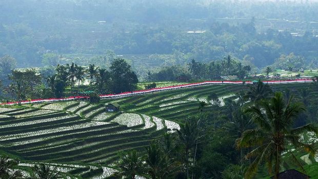 5 Destinasi yang Cocok Buat Generasi Z, Ada dari Indonesia
