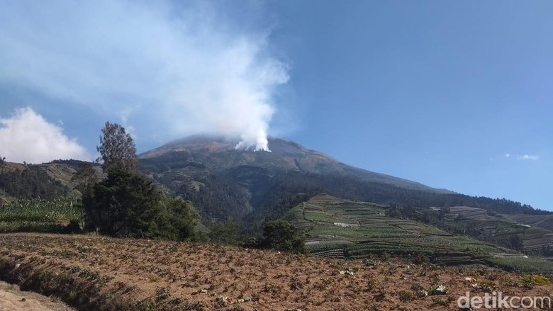 Kebakaran Lereng Gunung Sumbing, 70 Relawan Diberangkatkan ke Titik Api Kebakaran Lereng Gunung Sumbing, 70 Relawan Diberangkatkan ke Titik Api