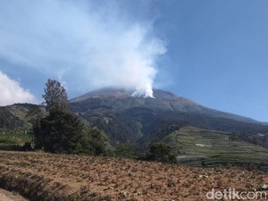 Kebakaran Lereng Gunung Sumbing, 70 Relawan Diberangkatkan ke Titik Api
