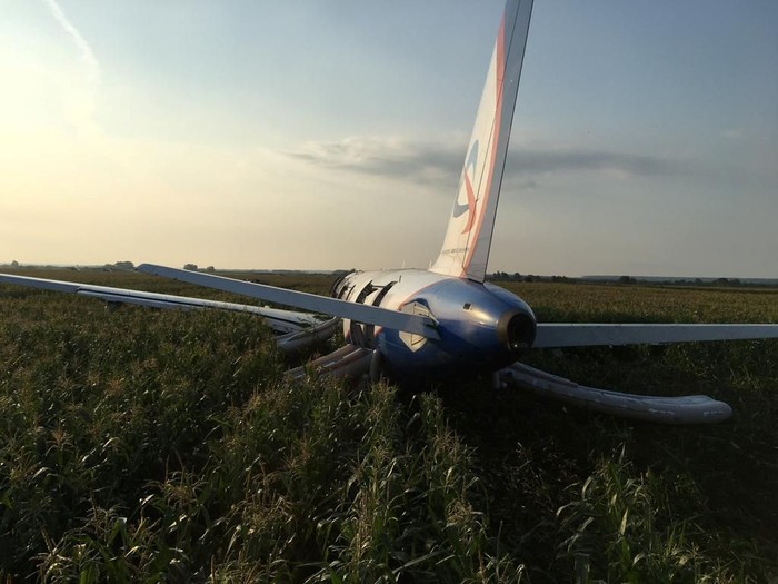 Sebuah pesawat maskapai Rusia Ural Airlines Airbus 321 terpaksa mendarat darurat karena gangguan mesin yang diakibatkan oleh sekawanan burung camar.