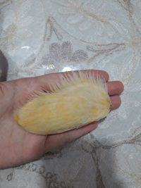 Super Iseng! Wanita Ini Keramasi Biji Mangga hingga Mirip Rambut Berkilau