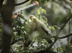 Menyentuh Banget, Kumpulan Foto Ini Bikin Baper