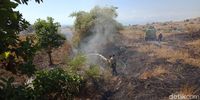 Petugas TN Tambora Padamkan Api Kebakaran Lahan di Bima NTB