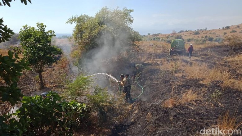 TN Tambora: Kebakaran Dipicu Api dari Pembersihan Lahan Warga TN Tambora: Kebakaran Dipicu Api dari Pembersihan Lahan Warga