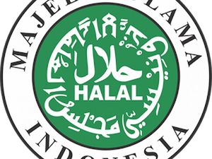 RUU Cipta Lapangan Kerja, Omnibus Law Hapus Kewajiban Makanan Harus Bersertifikat Halal!
