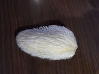 Super Iseng! Wanita Ini Keramasi Biji Mangga hingga Mirip Rambut Berkilau