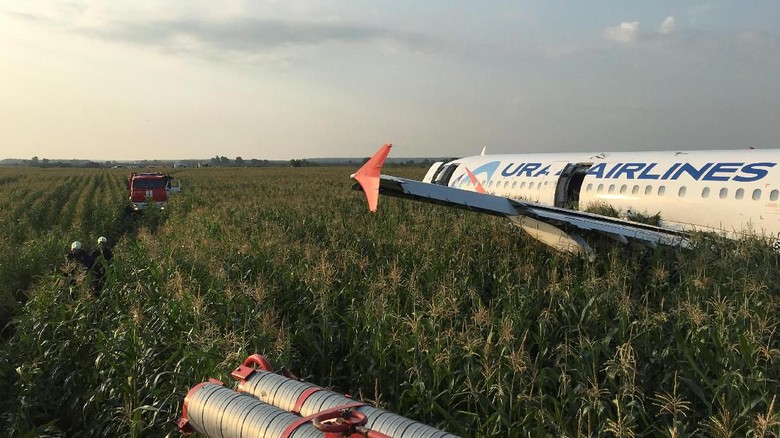 Pilot Maskapai Rusia yang Mendarat Darurat di Ladang Jagung Dipuji Pahlawan Pilot Maskapai Rusia yang Mendarat Darurat di Ladang Jagung Dipuji Pahlawan