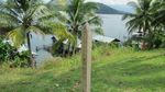 Foto: Coca-Cola, Sake dan Tulang Tentara di Papua