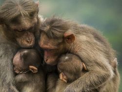 Menyentuh Banget, Kumpulan Foto Ini Bikin Baper