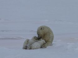 Menyentuh Banget, Kumpulan Foto Ini Bikin Baper