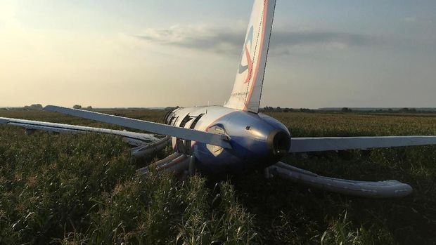Pesawat maskapai Ural Airlines mendarat darurat di ladang jagung