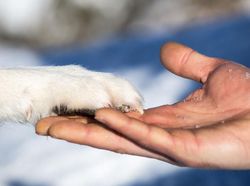 Menyentuh Banget, Kumpulan Foto Ini Bikin Baper