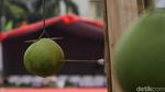 Serunya Festival Permainan Tradisional di Bekasi