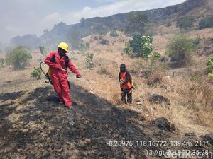 Petugas TN Tambora Padamkan Api Kebakaran Lahan di Bima NTB