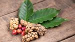 10 Hidangan Nasional Negara Ini Bikin Geleng-geleng Kepala