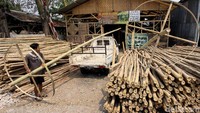 Menjelang Peringatan HUT Republik Indonesia, para perajin pohon pinang mulai kebanjiran orderan.
