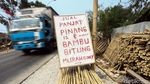 Jelang HUT RI, Perajin Pohon Pinang Banjir Rezeki