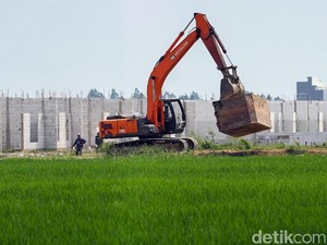 Jokowi Perintahkan Menteri-menteri Selamatkan Sawah