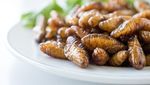 10 Hidangan Nasional Negara Ini Bikin Geleng-geleng Kepala