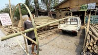 Pesanan pohon pinang tersebut nantinya akan dikirim ke  5 sampai 10 tempat berbeda.