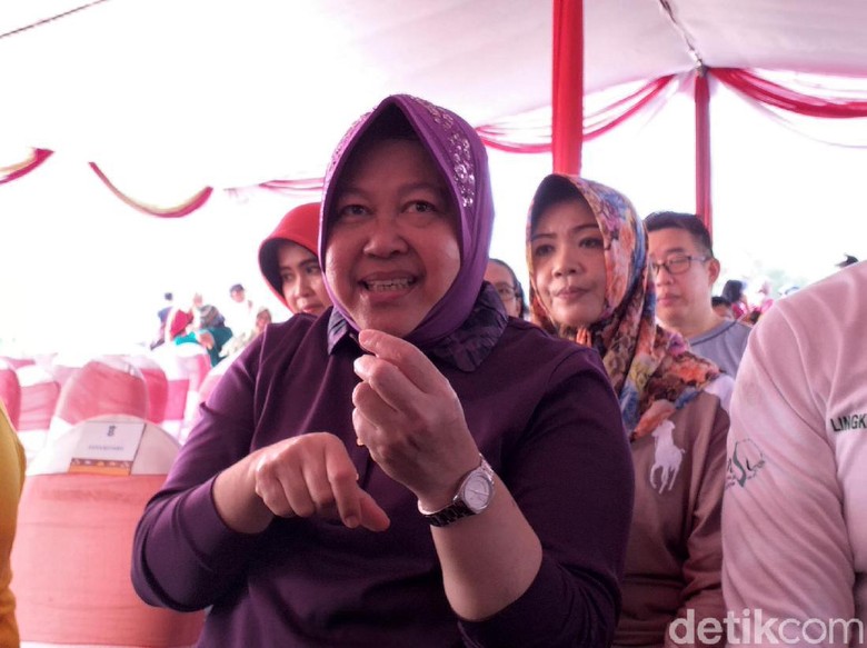 Tekan Polusi Udara, Risma Terus Tanam Pohon Imbangi Jumlah Kendaraan Tekan Polusi Udara, Risma Terus Tanam Pohon Imbangi Jumlah Kendaraan