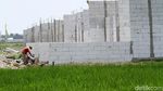 Alih Fungsi Lahan Mengancam Ribuan Sawah di Kabupaten Bekasi