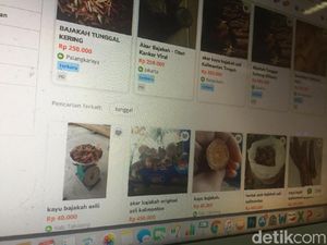 Masih Soal Akar Bajakah, Kemenkes Dorong Penelitian Lebih Lanjut