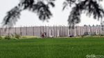Alih Fungsi Lahan Mengancam Ribuan Sawah di Kabupaten Bekasi