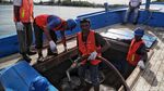 Menjaga Pasokan BBM Agar Listrik di Pulau Nasi Terus Menyala