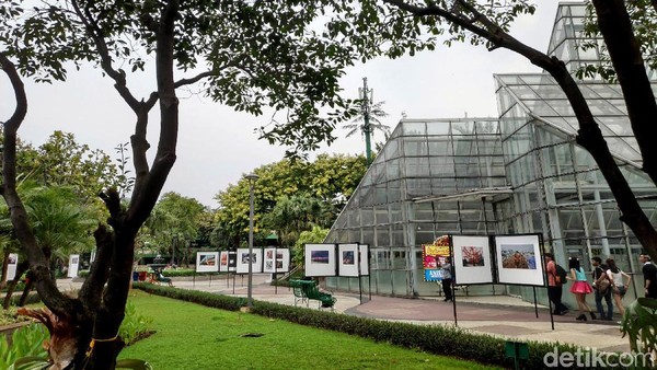 Foto: 8 Taman Cantik di Jakarta untuk Santai-santai