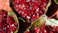 Chaprah dari India dalah chutney atau saus berempah yang dibuat dari semut merah. Bahkan telur semut merah juga ikut diolah bersama garam dan beragam rempah. Foto: Istimewa
