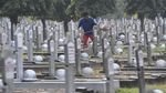 TMP Kalibata Tambah Kapasitas Makam