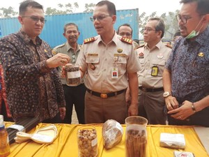 Cangkang Sawit Asal Jambi Laris di Jepang, Korsel & Belanda