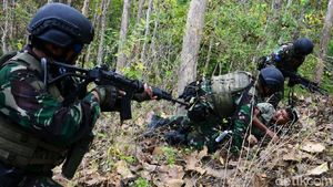 Marinir Indonesia dan AS Kejar Musuh di Hutan Selogiri Banyuwangi