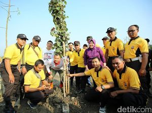 Risma akan Bangun Kebun Raya Mangrove Pertama di Dunia