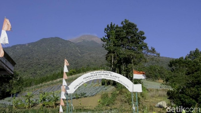 Jalur pendakian Gunung Slamet, Dipajaya, Pemalang, Jumat (16/8/2019).
