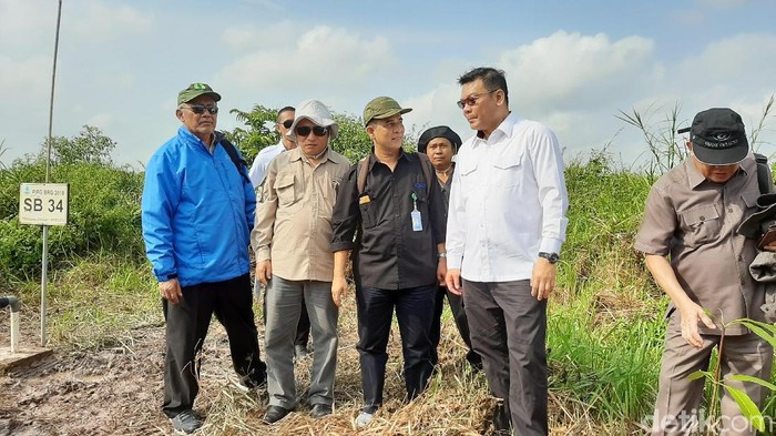 Kawasan Ekosistem Pelatihan Gajah di Sumsel Aman dari Karhutla