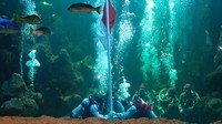 Aaliyah Massaid mengibarkan bendera Merah Putih di Seaworld, Ancol, Jakarta Utara. (Desi/detikHOT)
