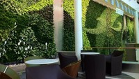 Memproduksi udara segar juga fokus utama dibaliknya kegiatan menanam taman vertikal ini. Istimewa/Dok. Inhabitat.
