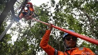 Petugas bersiap untuk mengibarkan bendera Merah-Putih di upacara HUT ke-74 Republik Indonesia yang diselenggarakan di atas gunung.
