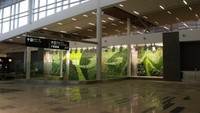 Tumbuhan hijau ini ditanami di atas 131,9 meter persegi dinding di bandara tersebut. Istimewa/Dok. Inhabitat.