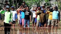Puluhan petani berjejer di tengah sawah yang penuh air dan lumpur untuk mengikuti upacara HUT ke-74 RI, Banyuwangi, Sabtu (17/8/2019).