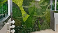 Dinding di bandara yang terletak di provinsi Alberta, Kanada ini ditutupi dengan 8.000 tanaman yang berasal dari 32 spesies yang berbeda. Istimewa/Dok. Inhabitat.