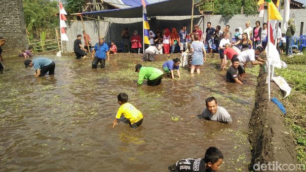Serunya Bule Belgia Ikut Lomba Tangkap Lele di Banyumas