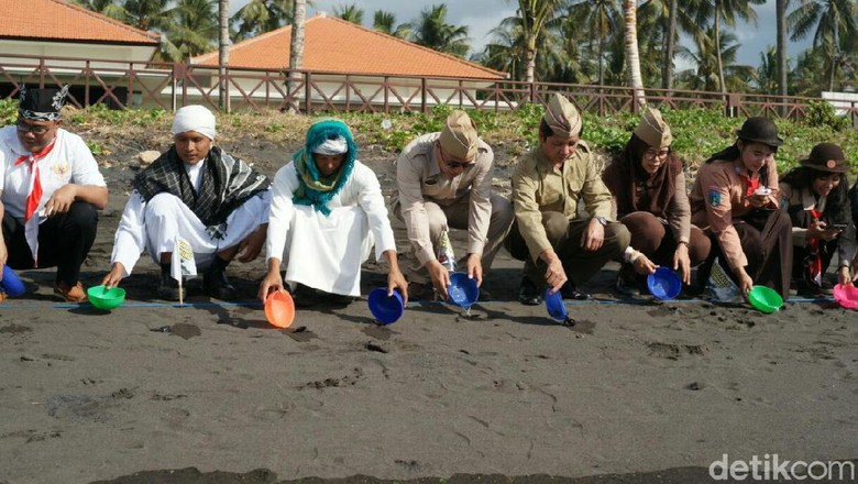 Tokoh Lintas Agama Dan Korps Veteran Lepas 250 Ekor Tukik Peringati HUT RI Tokoh Lintas Agama Dan Korps Veteran Lepas 250 Ekor Tukik Peringati HUT RI