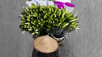 Dia pun tergerak untuk mengabadikannya. Foto: Loes Heerink